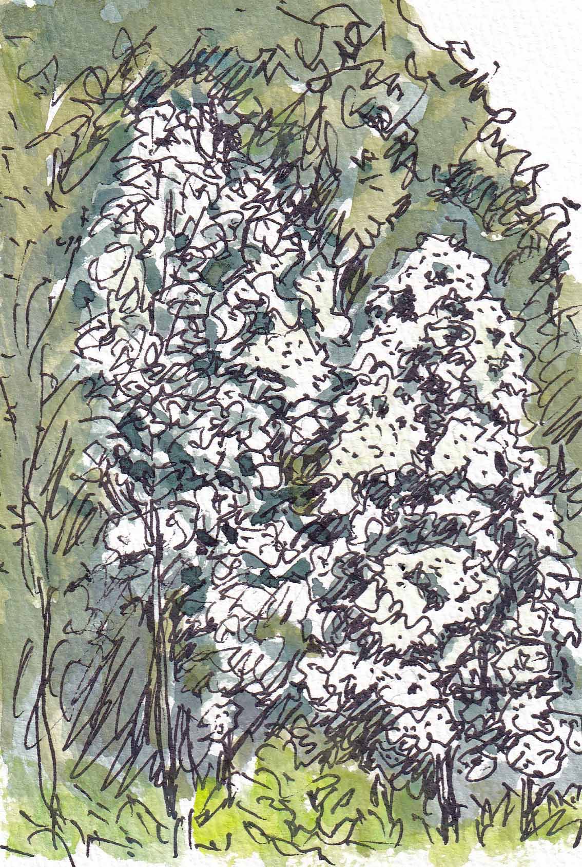 花城康雄　「アッシジの春」　絵画 flower 花城康雄公式サイト 風景スケッチ 淡彩スケッチ
