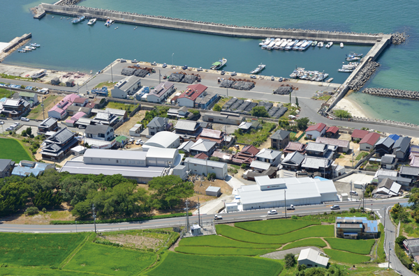 海の見える本社全景